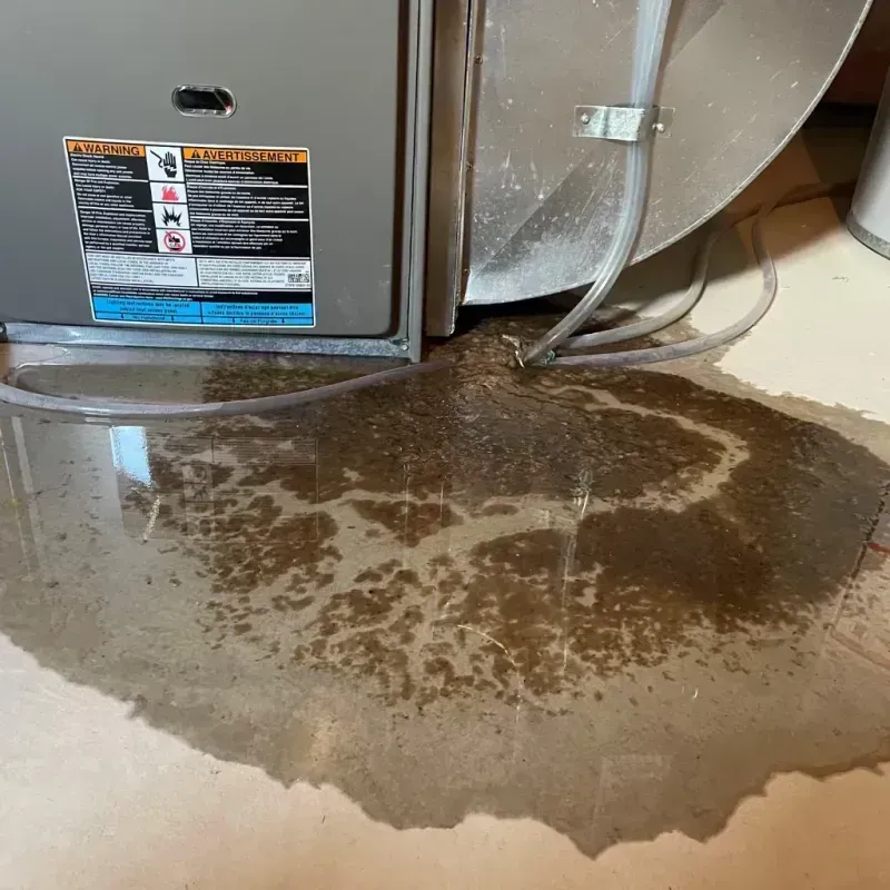 Appliance Leak Cleanup in Cheshire County, NH